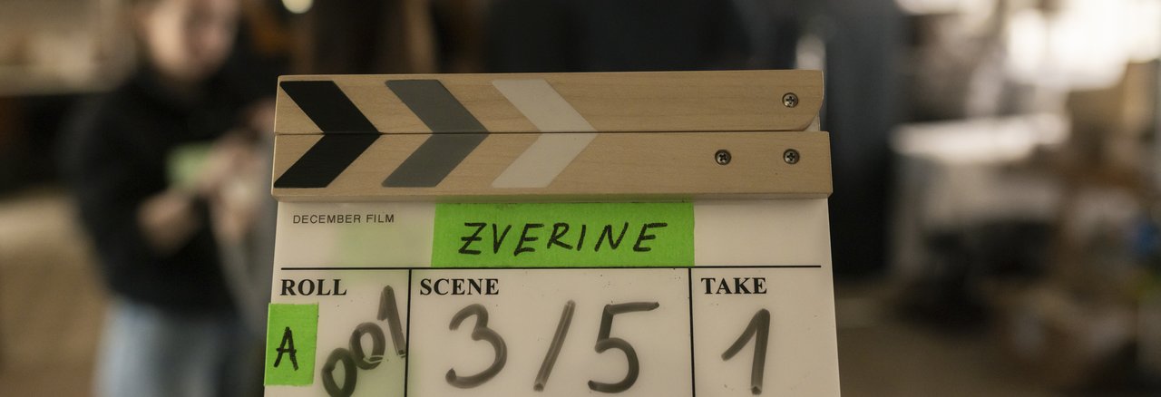 Zverine - Foto: Željko Stevanić