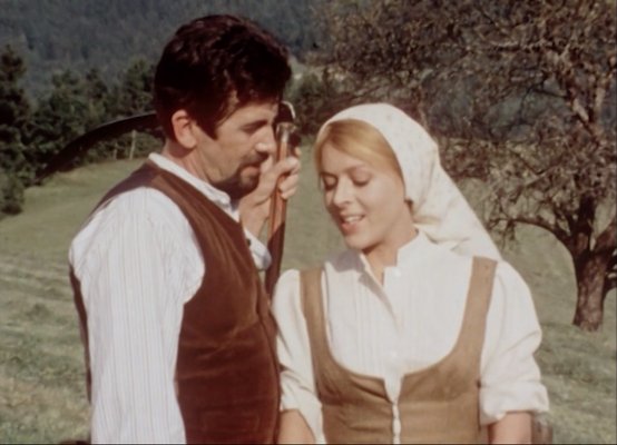 Cvetje v jeseni