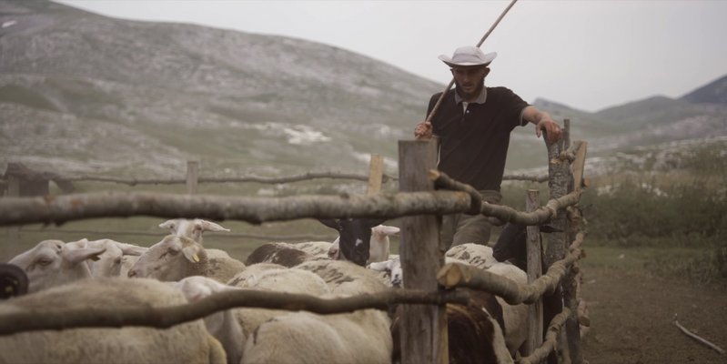 Gora se ne bo premaknila - Foto: Petra Pan film