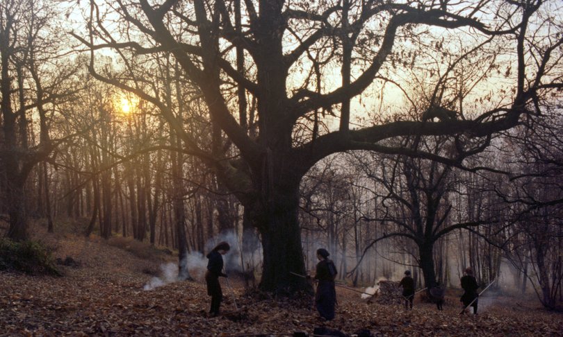 Zgodbe iz kostanjevih gozdov - Foto: Zavod Nosorogi