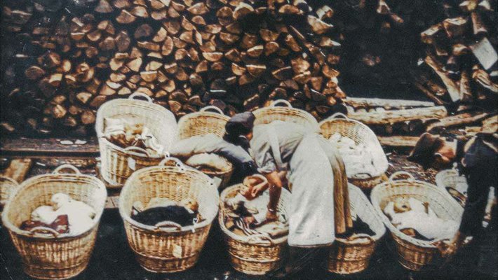 Zajeti v izviru - Slovenski otroci Lebensborna - Foto: Bela film