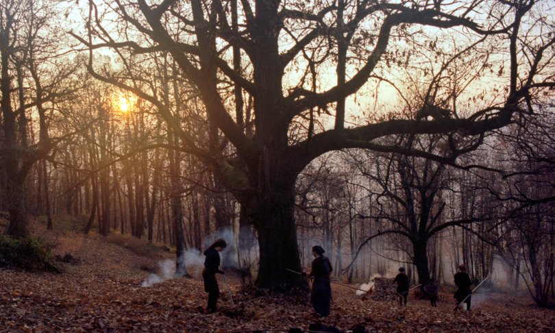 Zgodbe iz kostanjevih gozdov - Foto: Zavod Nosorogi