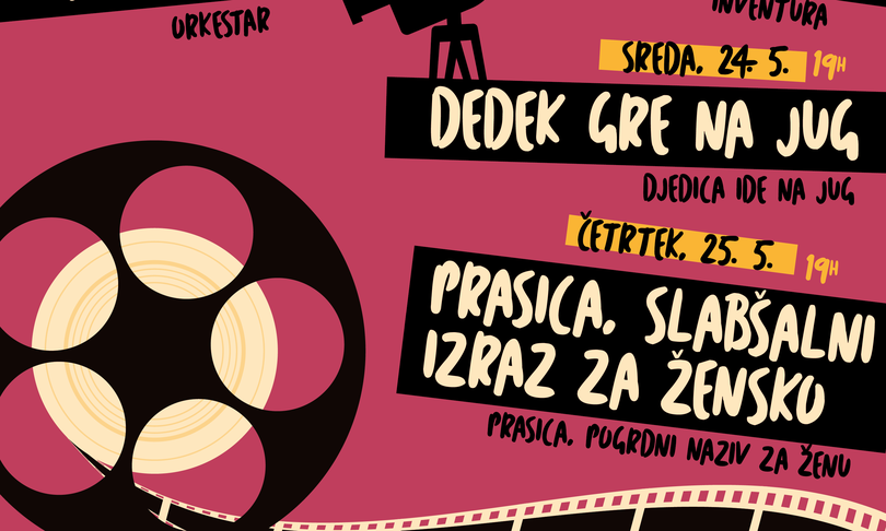 plakat_2023_DSF.png